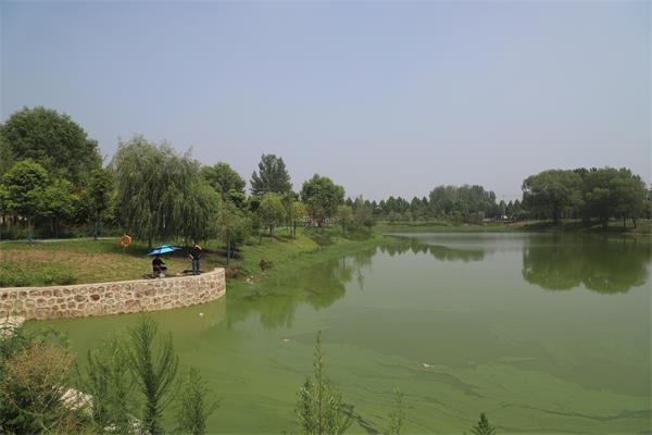 1717006472840407.jpg
